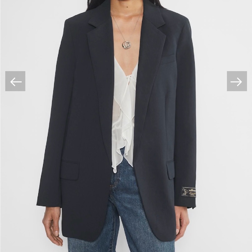 Aritzia Wilfred Therese Blazer